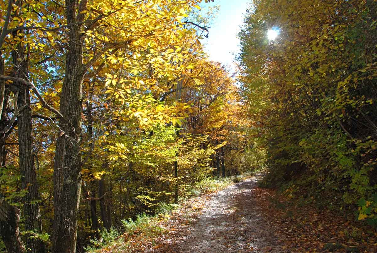 Wandern in und um Tignale