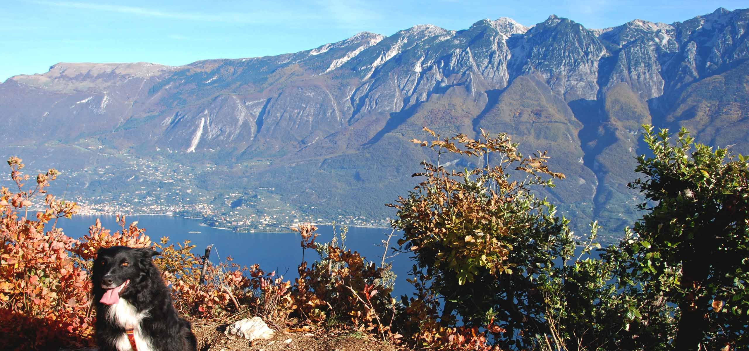 Wandern hoch über dem See