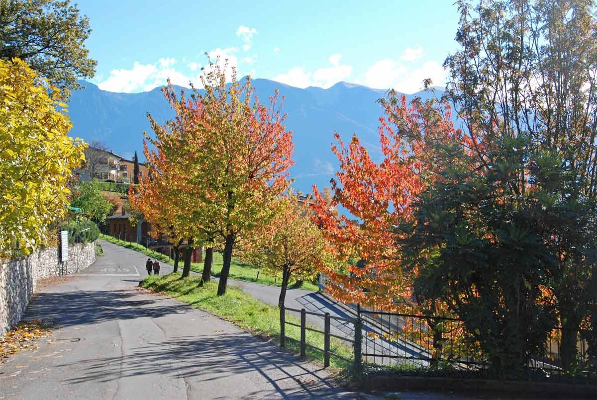 Wandern in und um Tignale