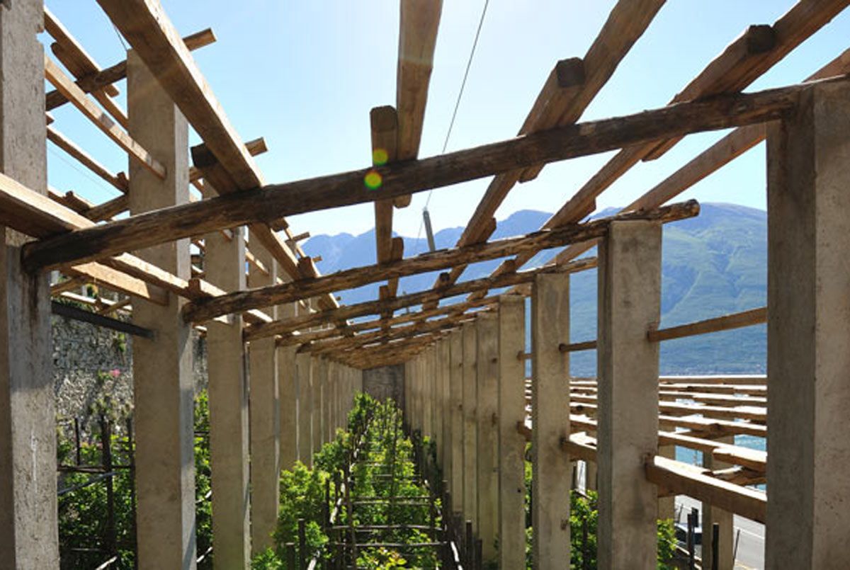 LA LIMONAIA DEL PRÀ DE LA FAM